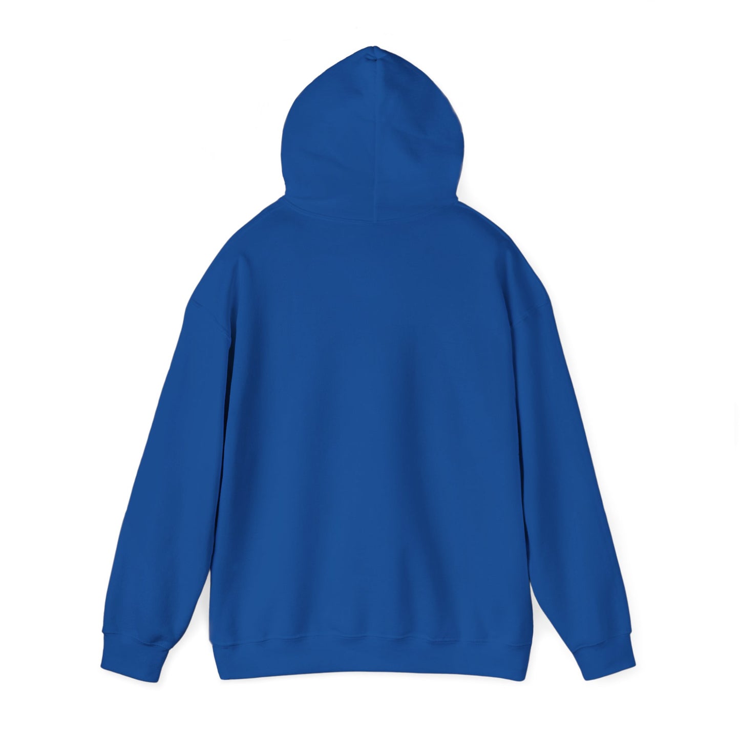Sonic Hoodie