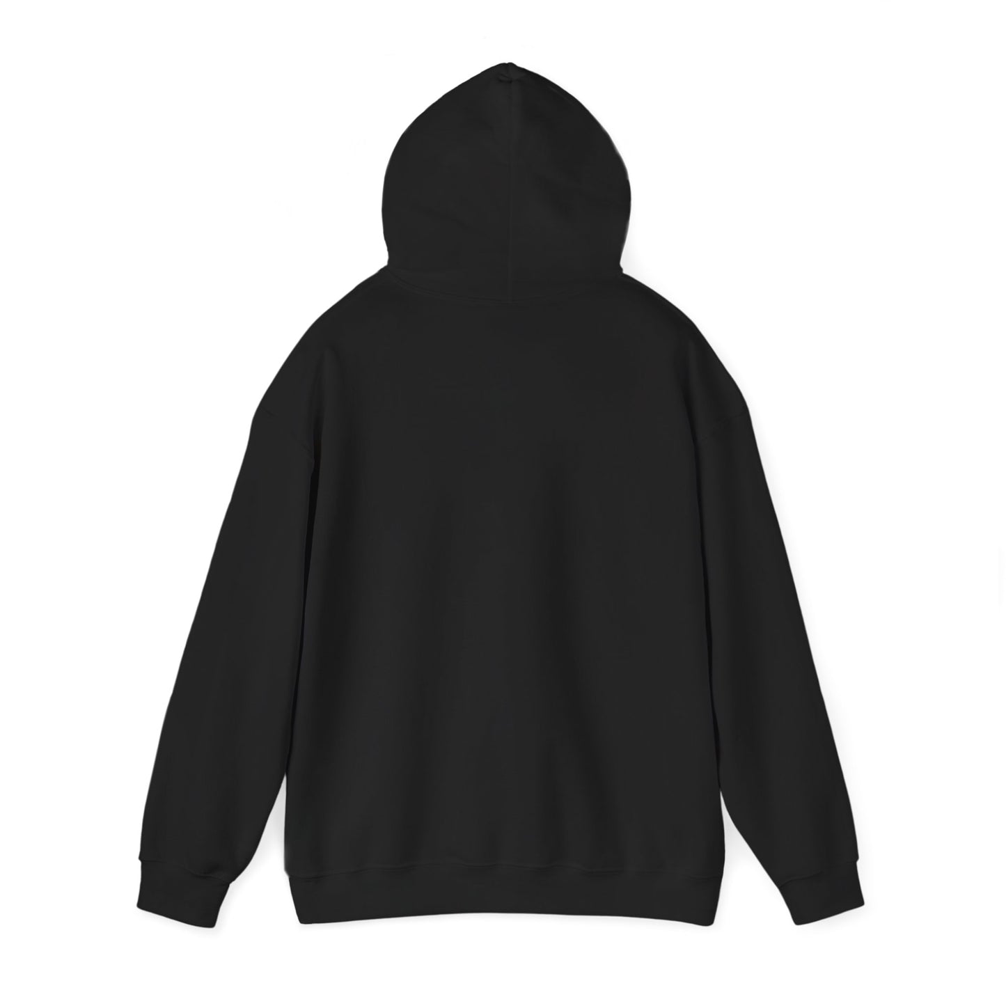Sonic Hoodie